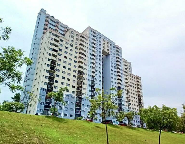 Desaminium Rimba - 3