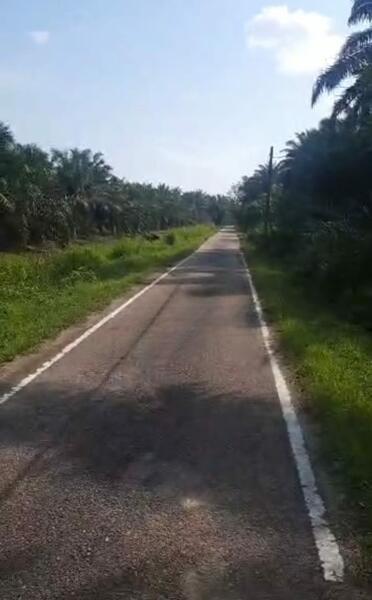 Agriculture Land - Parit Sikom, Pontian, Johor - 3