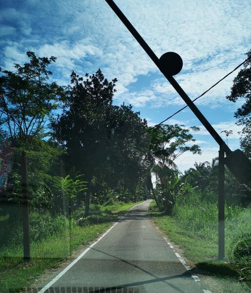 Agriculture Land - Parit Sikom, Pontian, Johor - 2