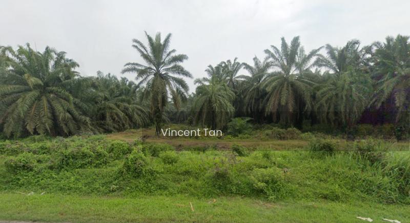 Johor Land - 1