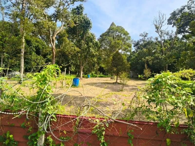 TANAH DUSUN DURIAN UNTUK DIJUAL – MUKIM LENGGENG, NS - 1