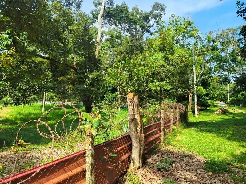 TANAH DUSUN DURIAN UNTUK DIJUAL – MUKIM LENGGENG, NS - 2