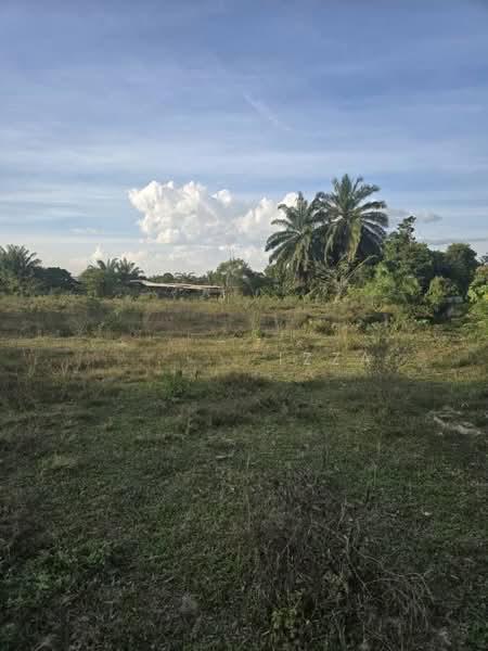 Kampung Pulau - 3