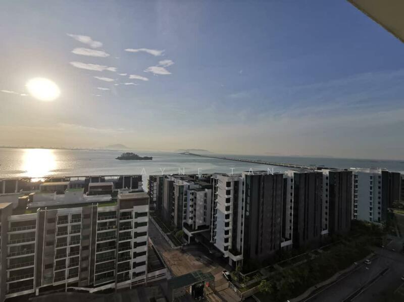 The Light Linear - 1