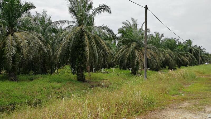 10Acres Main Road Zoned Residential Raja Musa Batang Berjuntai Ijok - 2