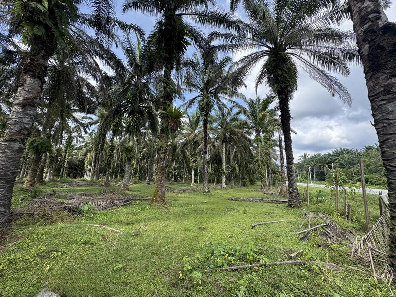 Sungkai Perak Main Road Frontage Development Land For Sale. 35 Acres. - 2