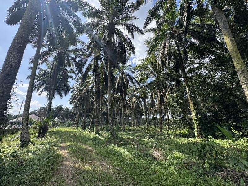 Sungkai Perak Main Road Frontage Development Land For Sale. 35 Acres. - 5