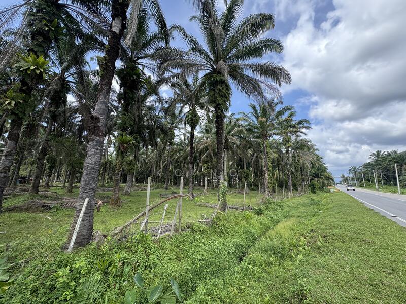 Sungkai Perak Main Road Frontage Development Land For Sale. 35 Acres. - 1