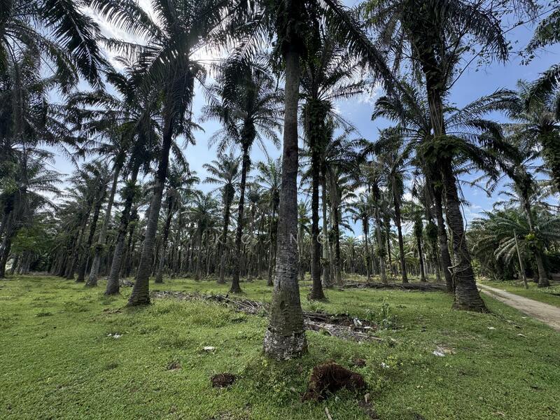 Sungkai Perak Main Road Frontage Development Land For Sale. 35 Acres. - 3