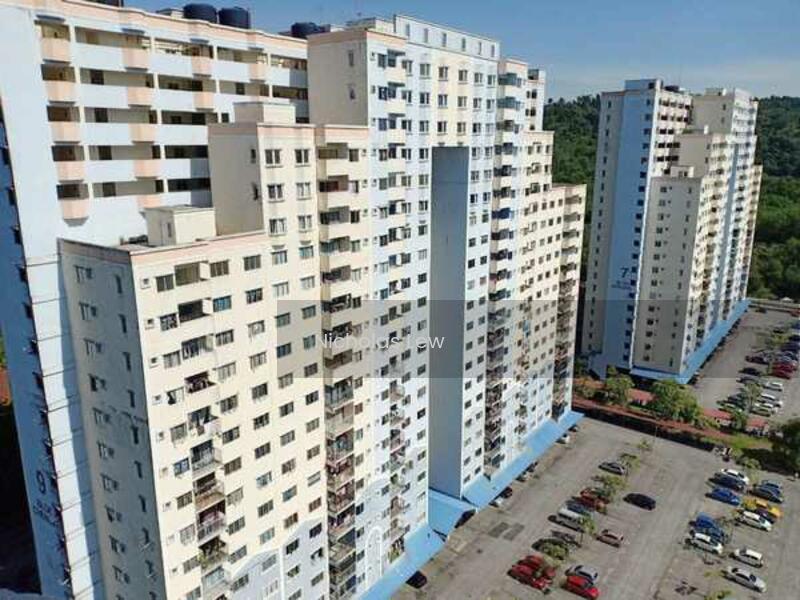 Desaminium Rimba - 1