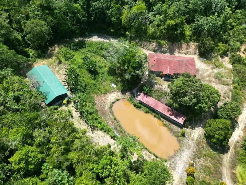 Kampung Rembang Panas Kuala Pilah - 3