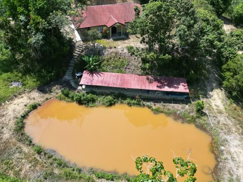 Kampung Rembang Panas Kuala Pilah - 5