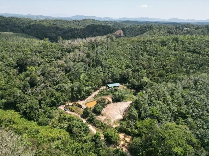 Kampung Rembang Panas Kuala Pilah - 4