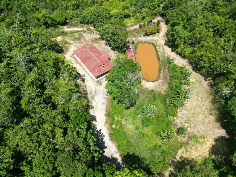 Kampung Rembang Panas Kuala Pilah - 2