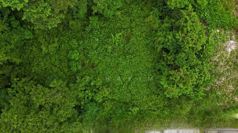 Land Building Status Puchong - 2