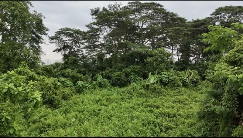 Land Building Status Puchong - 3