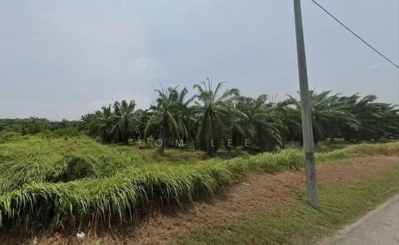 Kapar Batu 16 Jalan Keretapi Lama Klang Industrial Land - 3