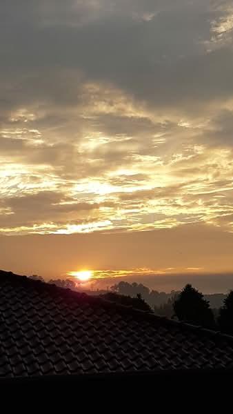 Taman Fern Grove - 4