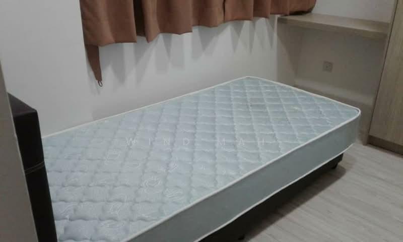 Aragreens - 4