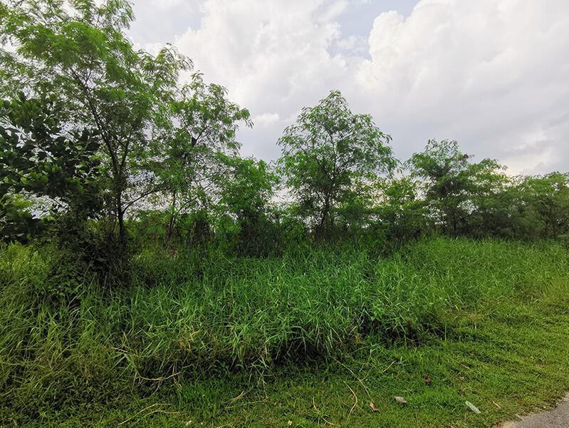 Pulai 200 acres Residential Land for sale - 1