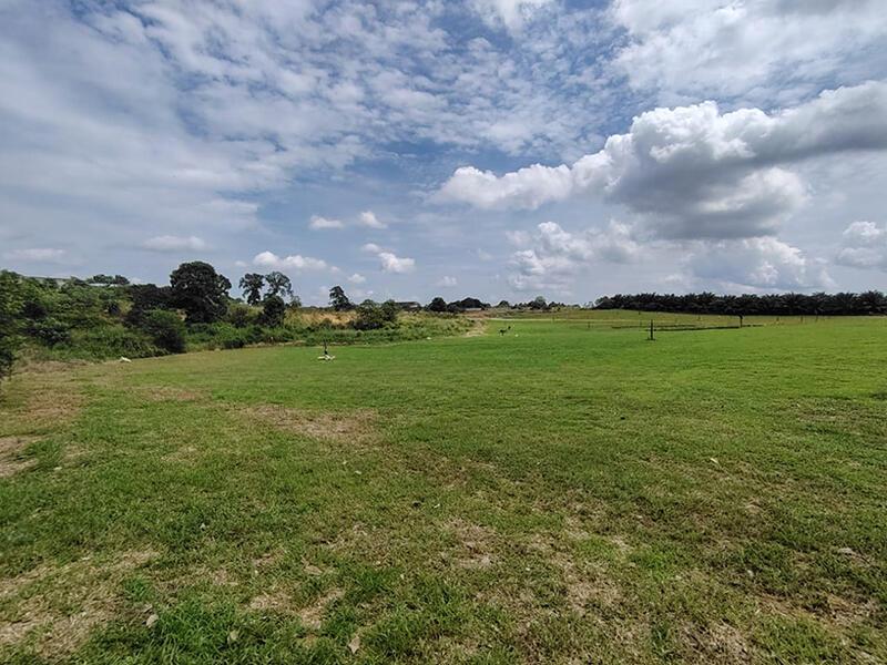 Pulai 200 acres Residential Land for sale - 5