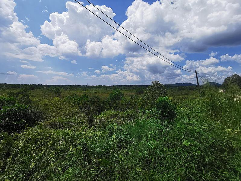 Pulai 200 acres Residential Land for sale - 3