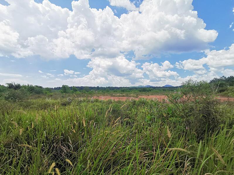 Pulai 200 acres Residential Land for sale - 2