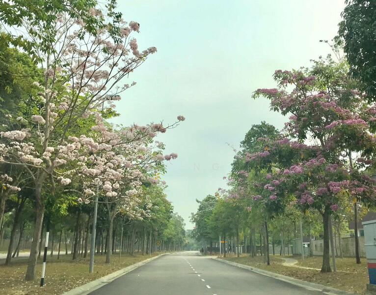 Noble Park Grand Pool Villas East Ledang - 2