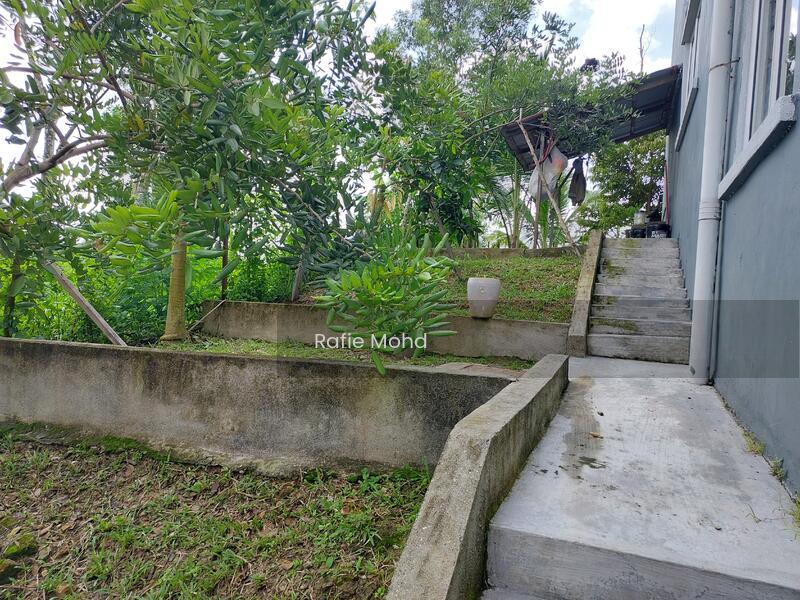Lestari Perdana - 5