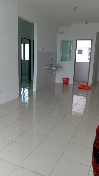 The Rise Collection 2 - 2