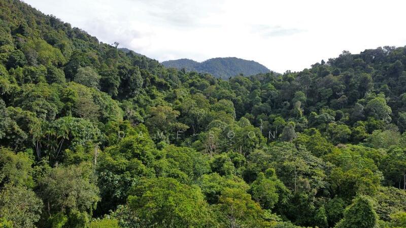 Batu Ferringhi - 4