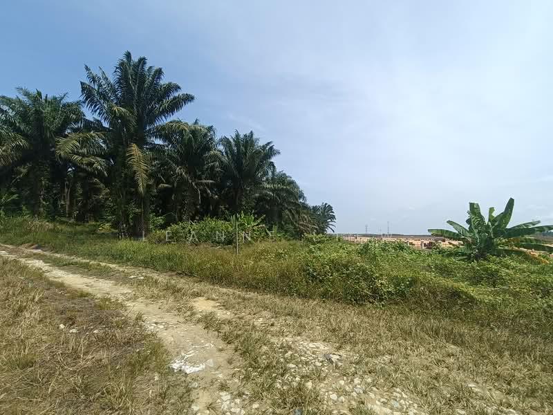 Kulai Kulai Kulais - 5