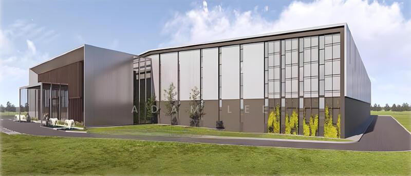 Senai Senai Senais - 3