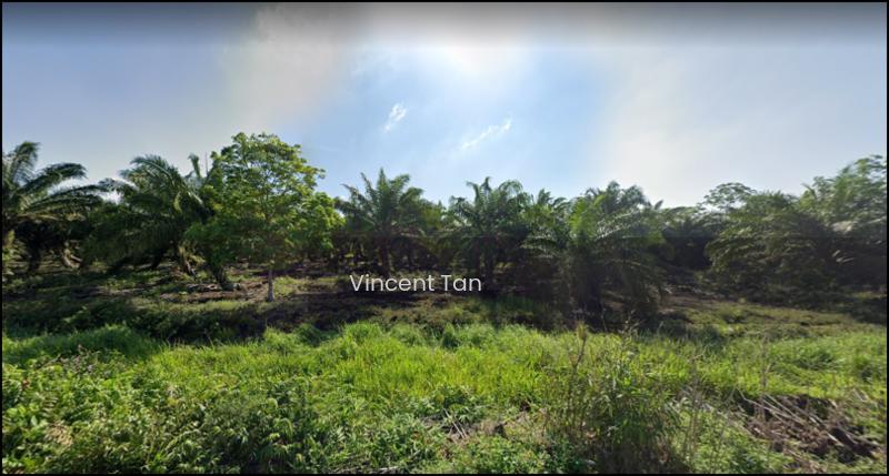 Land For Sale Pekan Nanas @ Pontian - 1
