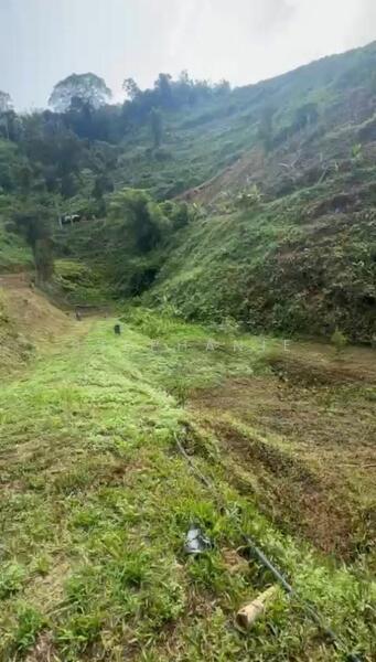 Orchard Land WATER SUPPLY INVESTMENT near Semoa Farm Tras Raub Pahang - 2