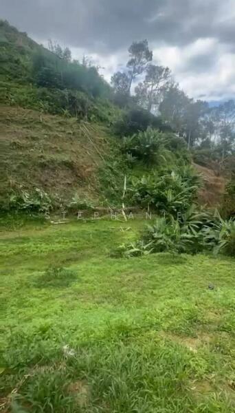 Orchard Land WATER SUPPLY INVESTMENT near Semoa Farm Tras Raub Pahang - 5