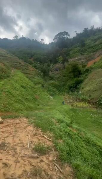 Orchard Land WATER SUPPLY INVESTMENT near Semoa Farm Tras Raub Pahang - 3