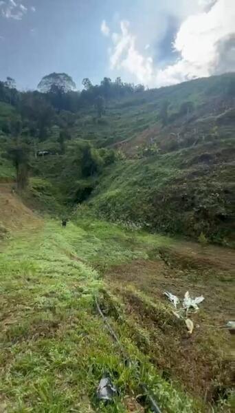 Orchard Land WATER SUPPLY INVESTMENT near Semoa Farm Tras Raub Pahang - 4