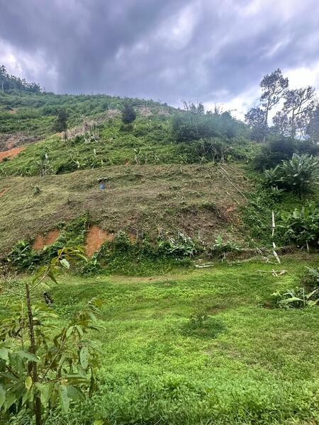 Orchard Land WATER SUPPLY INVESTMENT near Semoa Farm Tras Raub Pahang - 1