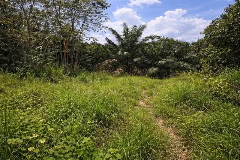 Taman Desa Cemerlang - 2