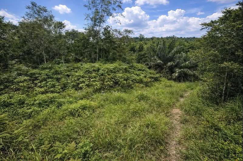 Taman Desa Cemerlang - 3