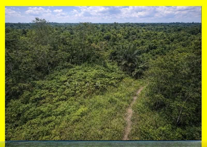 Taman Desa Cemerlang - 1