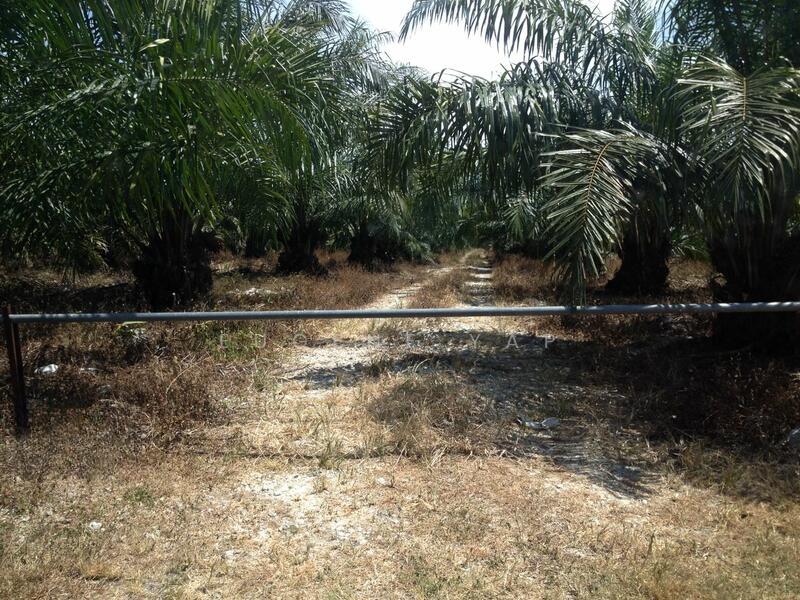 Sitiawan @ Perak - 5