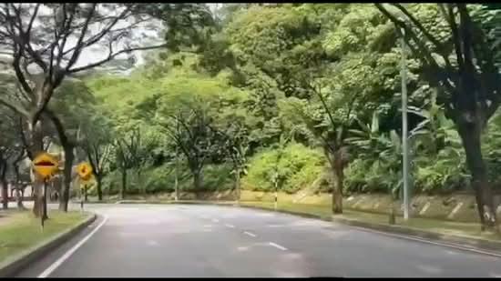 The Rafflesia @ Damansara Perdana - 3