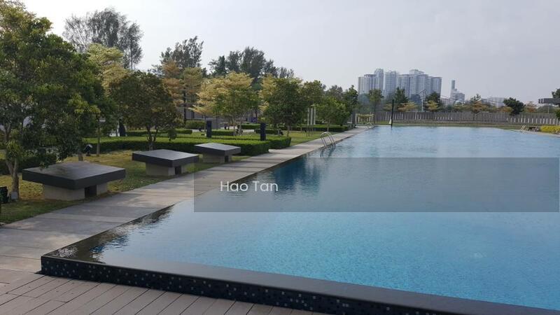 The Light Linear - 2