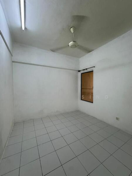 Ixora - 5