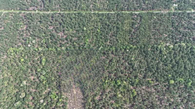 Penerok, Pontian - 1