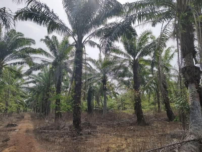 Penerok, Pontian - 2