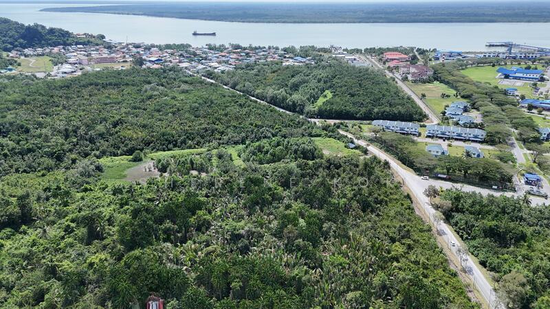 Agricultural Land @ Bako Jalan Kampung Muara Tebas 青山 - 5