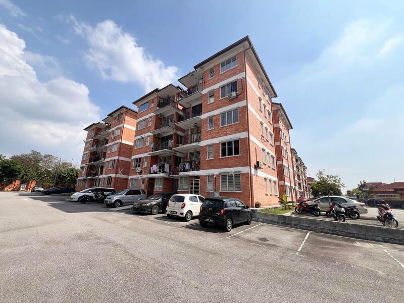 Alam Budiman (Sri Budiman) - 1